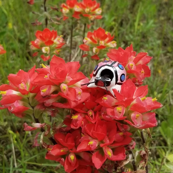 Posh Ambassador, Angela - Picture 3 of 6